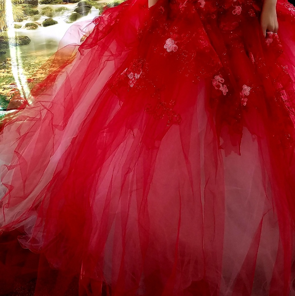 VALENTINA Red Lace & Tulle Corset Wedding Gown - Picture 4 of 8